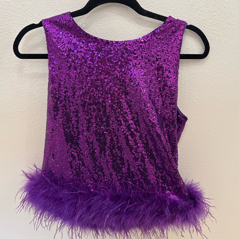 Sequin And Feathers Statement Top - image 1